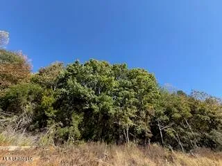 $2,500,000 | 0 Beck Springs, Potts Camp, MS 38659