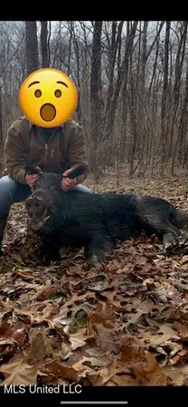 $2,500,000 | 0 Beck Springs, Potts Camp, MS 38659