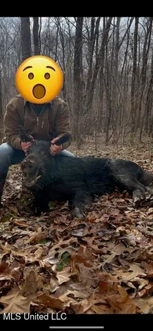 $2,500,000 | 0 Beck Springs, Potts Camp, MS 38659