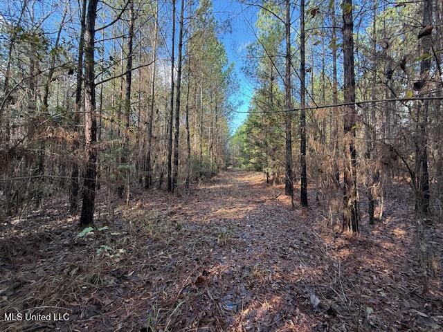 0 Beck Springs Potts Camp, MS 38659 - Photo 16 of 24 IMG_3024