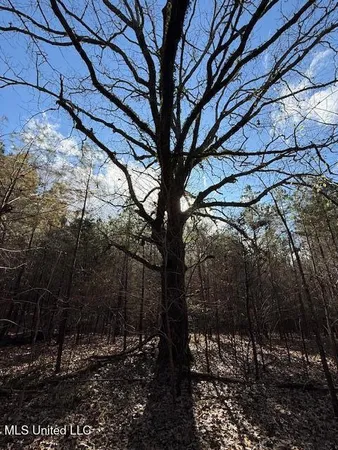 $2,500,000 | 0 Beck Springs, Potts Camp, MS 38659
