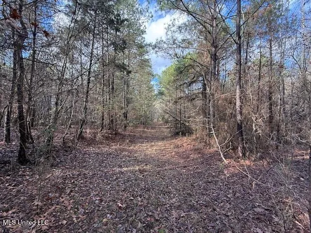 $2,500,000 | 0 Beck Springs, Potts Camp, MS 38659