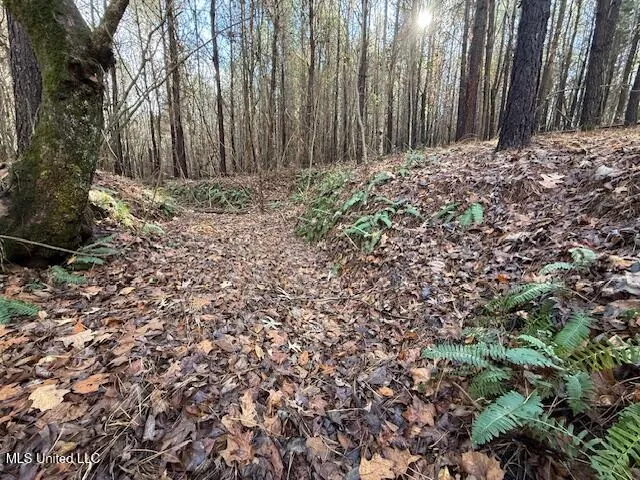 $2,500,000 | 0 Beck Springs, Potts Camp, MS 38659