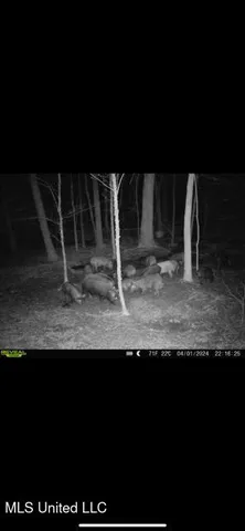 $2,500,000 | 0 Beck Springs, Potts Camp, MS 38659