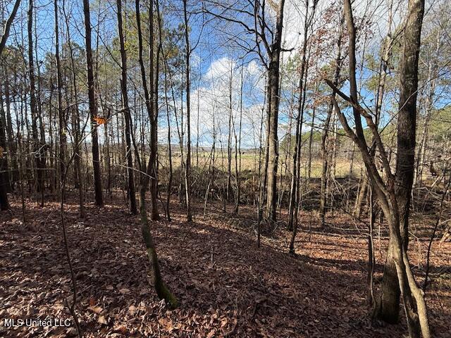 0 Beck Springs Potts Camp, MS 38659 - Photo 4 of 24 IMG_3033