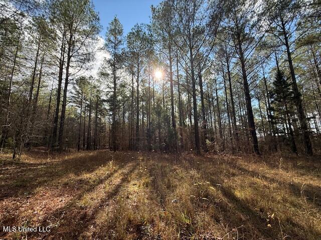 0 Beck Springs Potts Camp, MS 38659 - Photo 5 of 24 IMG_3030