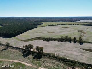 0 Beck Springs Potts Camp, MS 38659 - Photo 7 of 24 VIEW LOOKING SOUTH