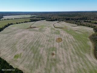 0 Beck Springs Potts Camp, MS 38659 - Photo 9 of 24 NORTH VIEW