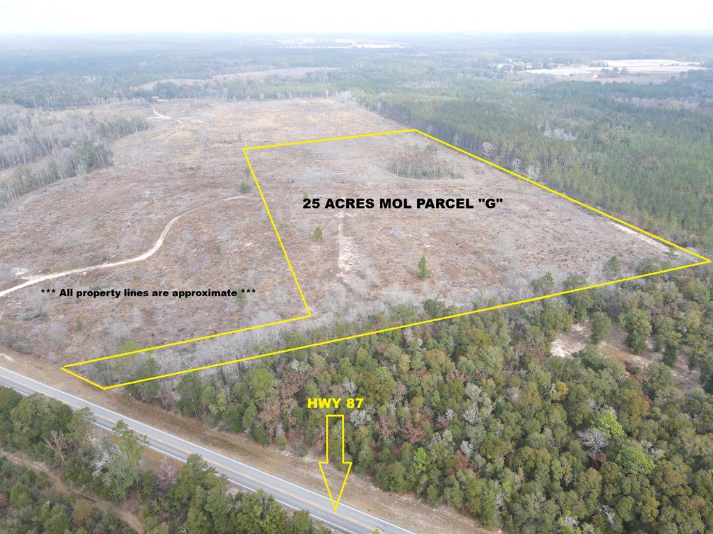 87 Samson Al Samson, AL 36477 - Photo 2 of 33