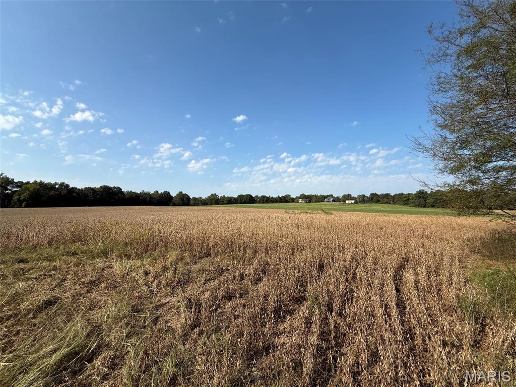 5324 McCallister Road Gerald, MO 63037 - Photo 53 of 67 Gallery Image 53