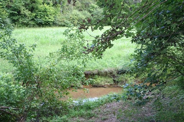 201 Middle Creek Road Cosby, TN 37722 - Photo 3 of 26 creek