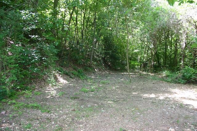 201 Middle Creek Road Cosby, TN 37722 - Photo 21 of 26 cleared spot for another rv/camper