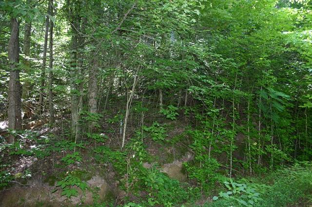 201 Middle Creek Road Cosby, TN 37722 - Photo 23 of 26 land