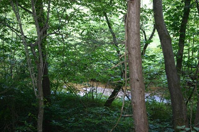 201 Middle Creek Road Cosby, TN 37722 - Photo 26 of 26 creek