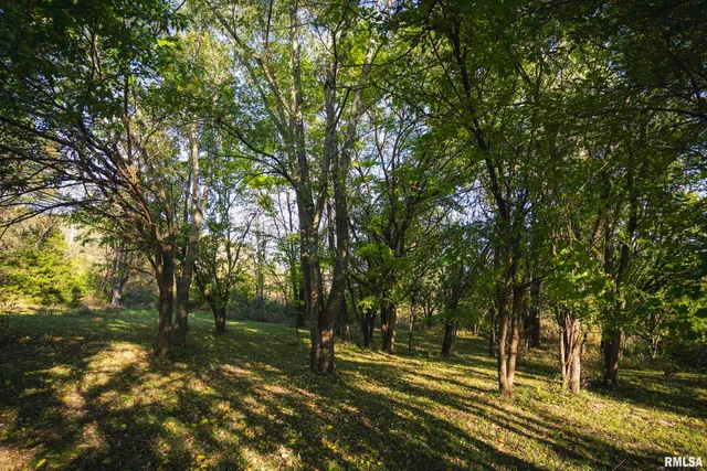 $1,195,000 | 3070 East County Road 900, Plymouth, IL 62367