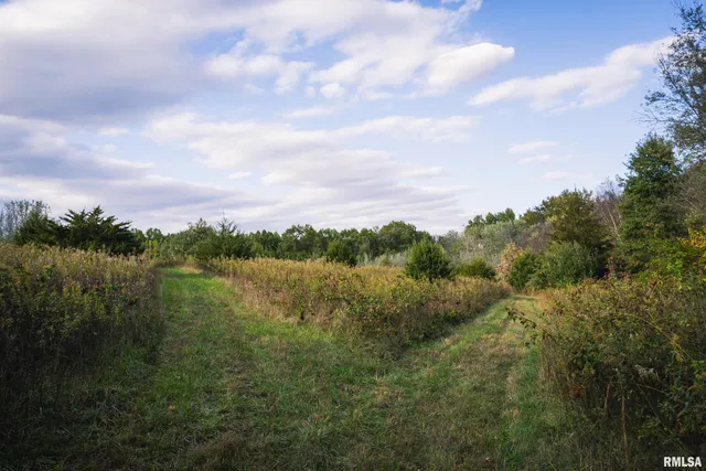 $1,195,000 | 3070 East County Road 900, Plymouth, IL 62367