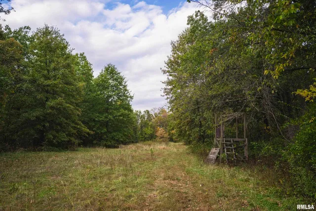 $1,195,000 | 3070 East County Road 900, Plymouth, IL 62367