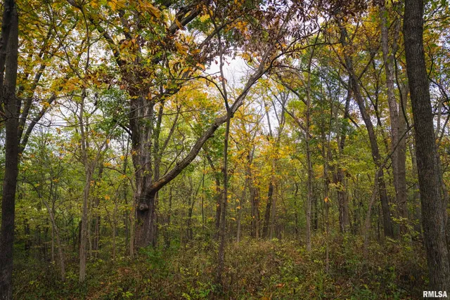 $1,195,000 | 3070 East County Road 900, Plymouth, IL 62367