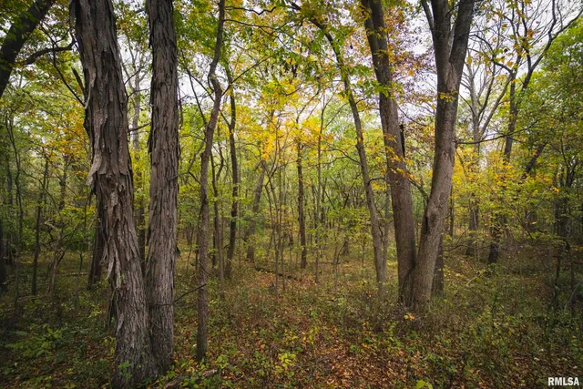 $1,195,000 | 3070 East County Road 900, Plymouth, IL 62367