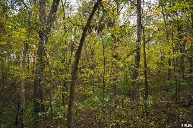 $1,195,000 | 3070 East County Road 900, Plymouth, IL 62367