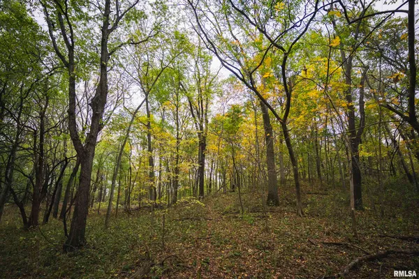 $1,195,000 | 3070 East County Road 900, Plymouth, IL 62367