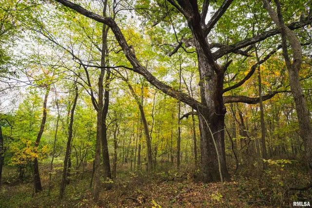 $1,195,000 | 3070 East County Road 900, Plymouth, IL 62367