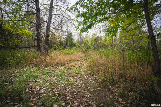 $1,195,000 | 3070 East County Road 900, Plymouth, IL 62367