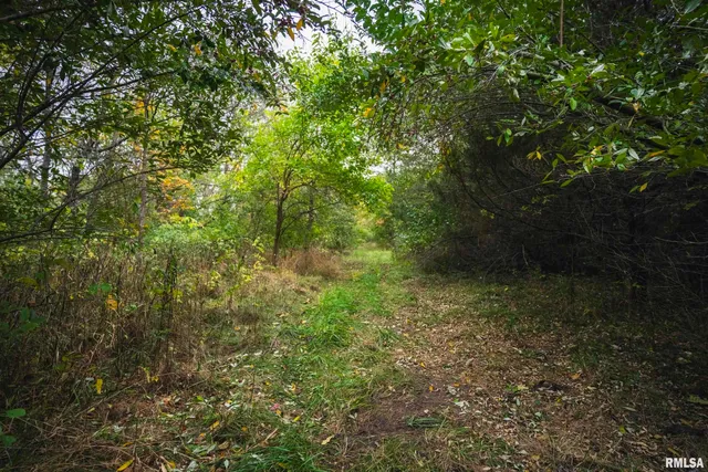 $1,195,000 | 3070 East County Road 900, Plymouth, IL 62367