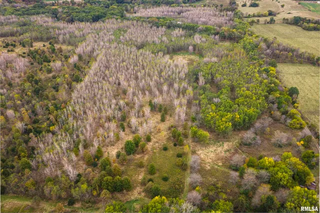 $1,195,000 | 3070 East County Road 900, Plymouth, IL 62367