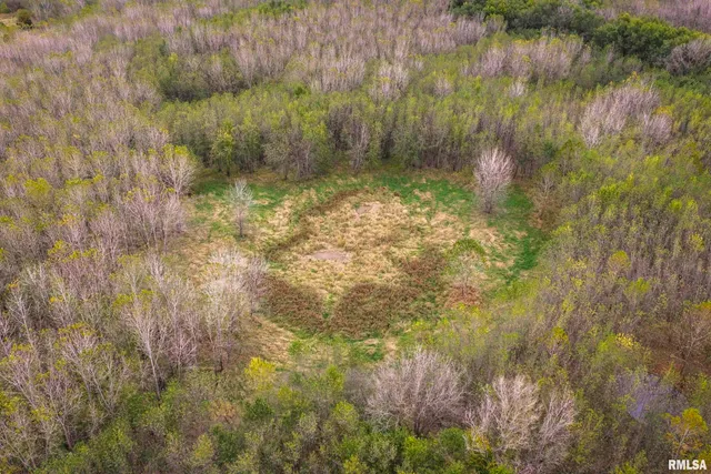 $1,195,000 | 3070 East County Road 900, Plymouth, IL 62367