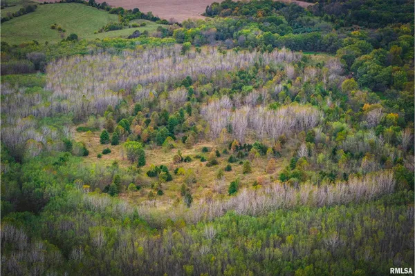 $1,195,000 | 3070 East County Road 900, Plymouth, IL 62367