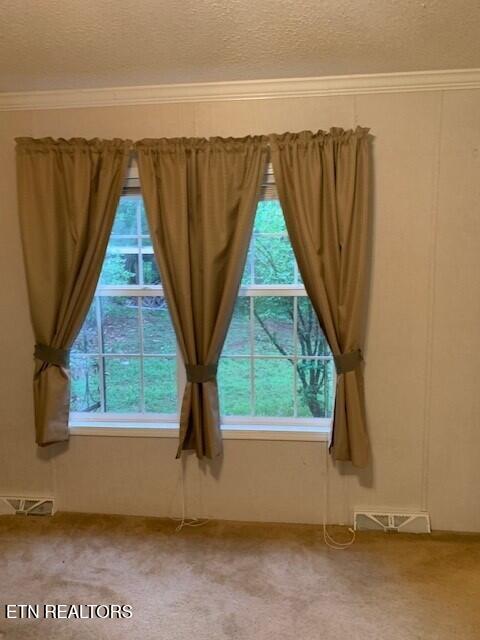1119 Cloyds Church Road Greenback, TN 37742 - Photo 12 of 35 Bedroom 1a