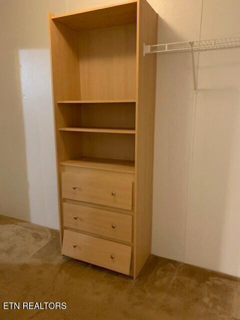1119 Cloyds Church Road Greenback, TN 37742 - Photo 14 of 35 Walk-in closet 1
