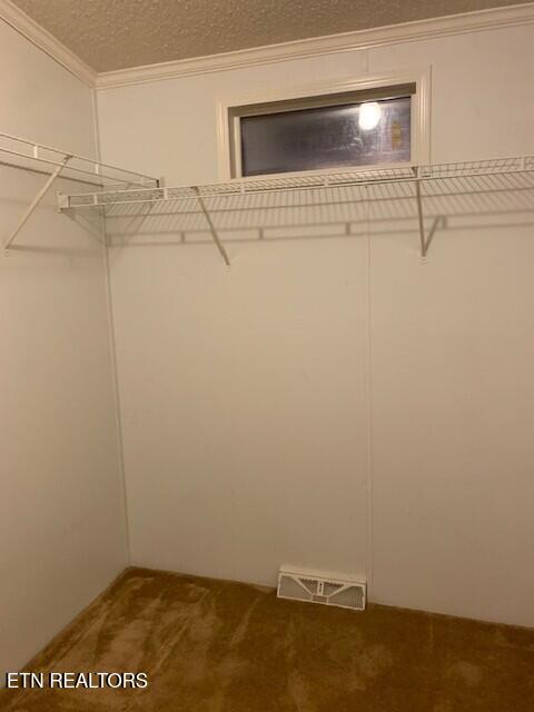 1119 Cloyds Church Road Greenback, TN 37742 - Photo 15 of 35 Walk-in closet 2