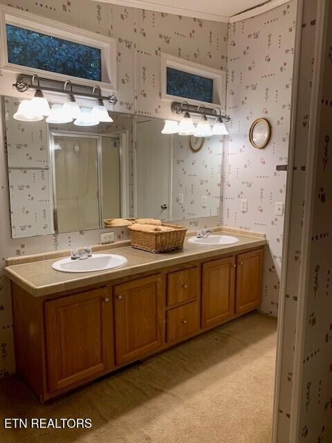1119 Cloyds Church Road Greenback, TN 37742 - Photo 17 of 35 Bath 1a