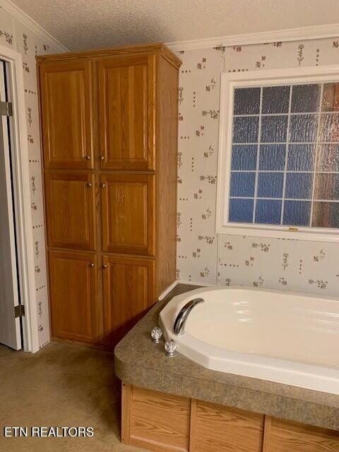 1119 Cloyds Church Road Greenback, TN 37742 - Photo 21 of 35 Bath 1e