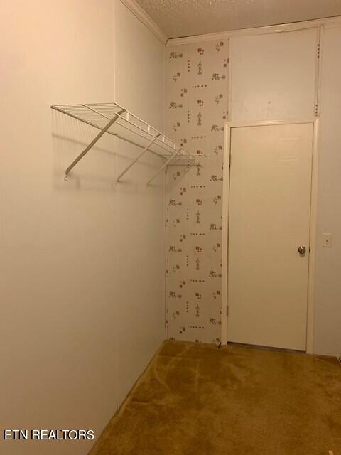 1119 Cloyds Church Road Greenback, TN 37742 - Photo 26 of 35 Walk-in closet 3