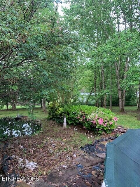 1119 Cloyds Church Road Greenback, TN 37742 - Photo 31 of 35 Back yard 4