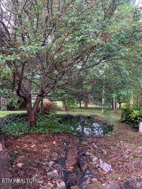 1119 Cloyds Church Road Greenback, TN 37742 - Photo 32 of 35 Back yard 5