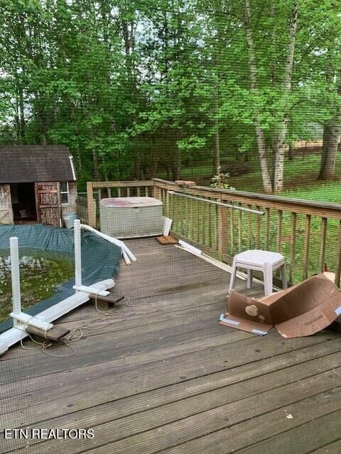 1119 Cloyds Church Road Greenback, TN 37742 - Photo 33 of 35 Back yard 6