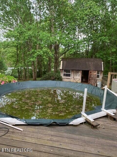 1119 Cloyds Church Road Greenback, TN 37742 - Photo 34 of 35 Back yard 7