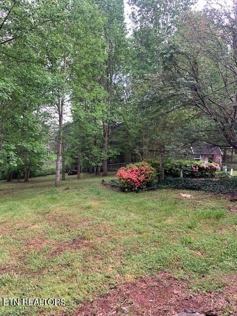 1119 Cloyds Church Road Greenback, TN 37742 - Photo 35 of 35 Back yard 8