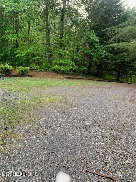 1119 Cloyds Church Road Greenback, TN 37742 - Photo 4 of 35 Front yard 1