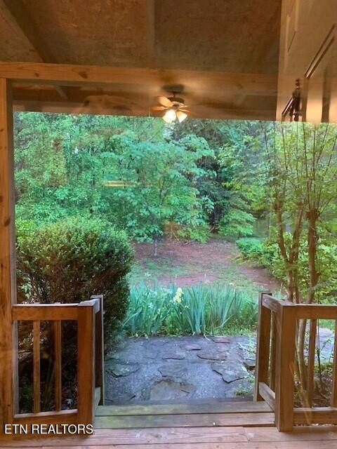 1119 Cloyds Church Road Greenback, TN 37742 - Photo 5 of 35 Side yard 1