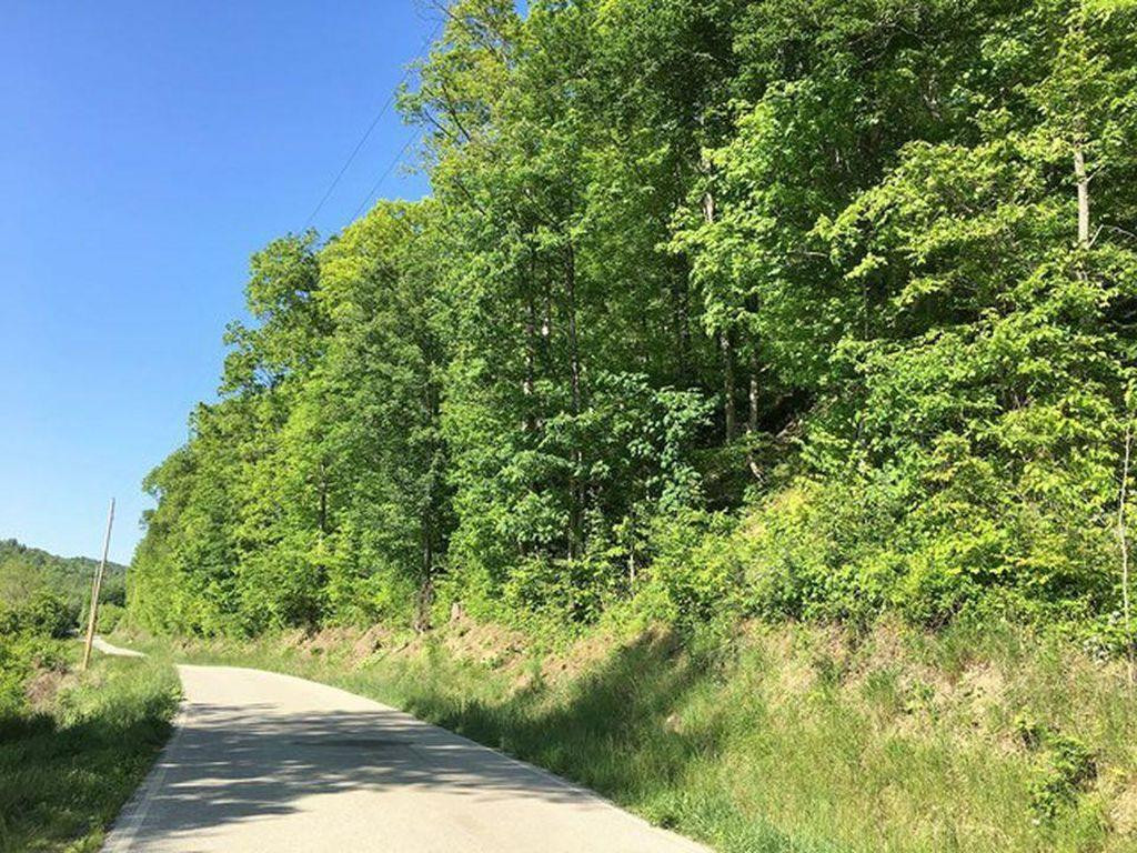 3107 South Fork Road Beattyville, KY 41311 - Photo 26 of 29 Photo 26