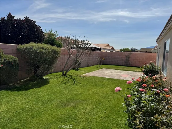 a view of a back yard of the house