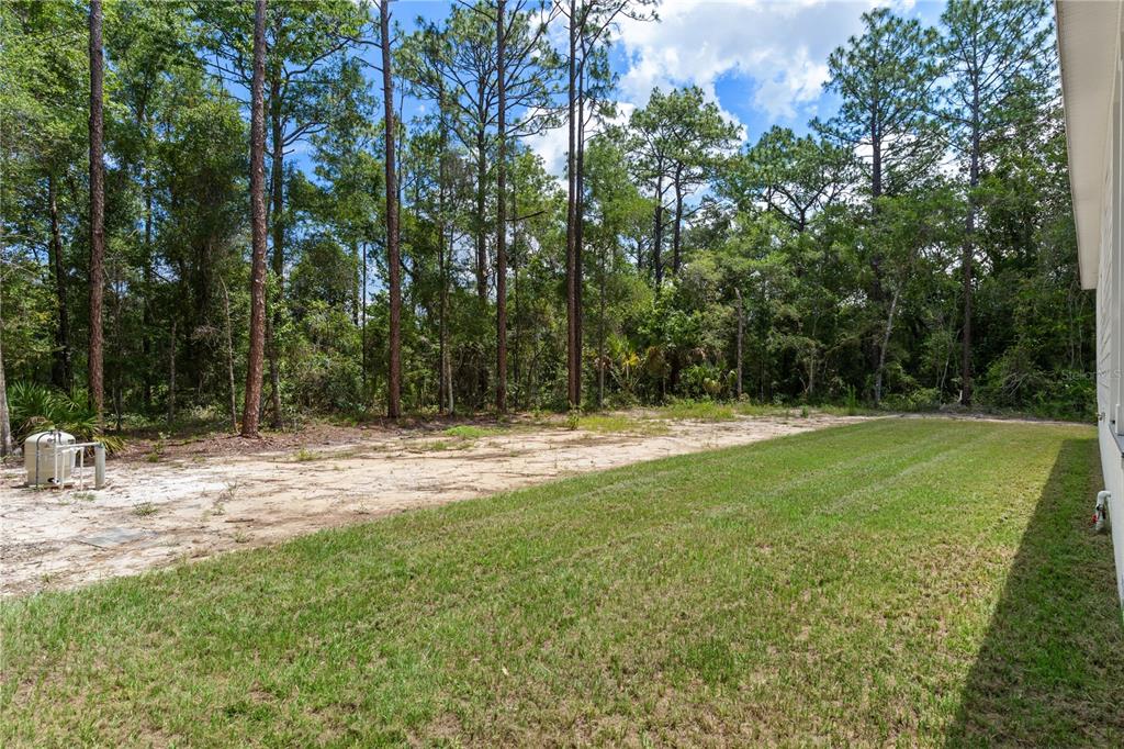 14249 East Razorbill Avenue Weeki Wachee, FL 34614 - Photo 39 of 40