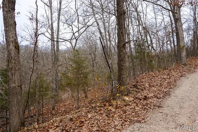 $73,500 | Tract D Holiday Lane, Dixon, MO 65459