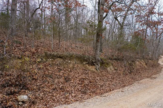 $73,500 | Tract D Holiday Lane, Dixon, MO 65459