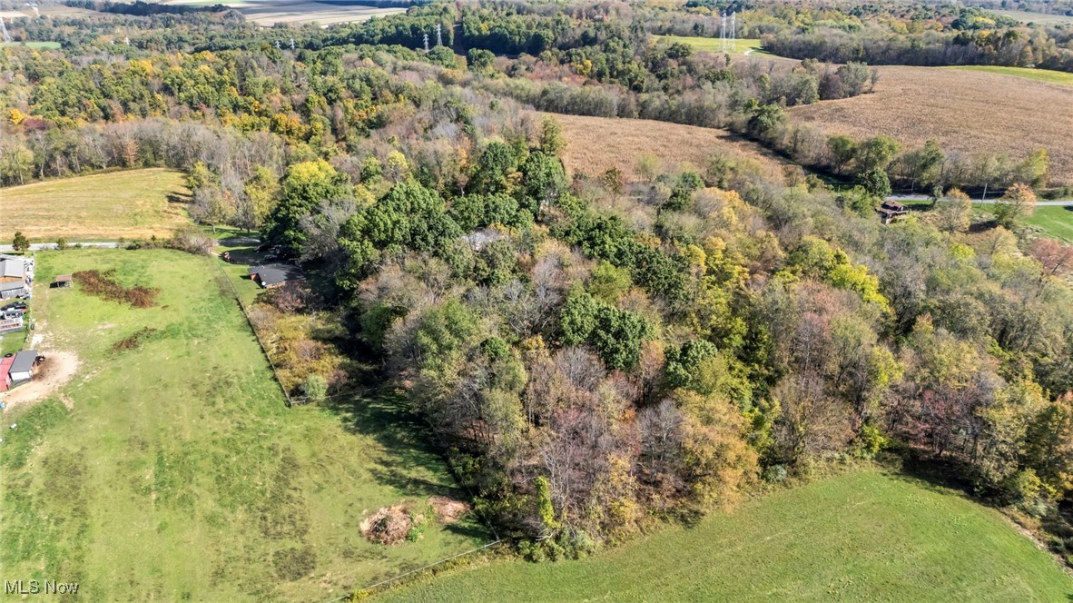 43575 Cream Ridge Road Lisbon, OH 44432 - Photo 41 of 50 Aerial view of property and surrounding area featuring a forest